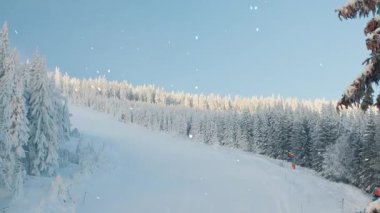 Güzel manzara. Kış orman