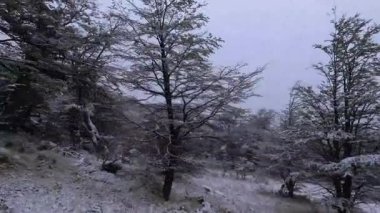 Karlı güzel kış manzarası