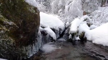 Karlı güzel kış şelalesi