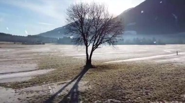 Karla kaplı ağaçlarla kaplı güzel kış manzarası