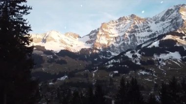 Karla kaplı ağaçlarla kaplı güzel kış manzarası