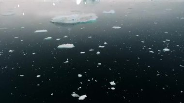 Okyanustaki donmuş buzdağı