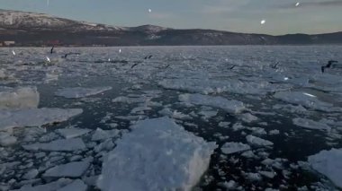 Kışın Donmuş Göl