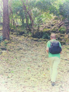 Antika görünümlü bir adam ormanda sırt çantasıyla tek başına yürürken görülmüş.