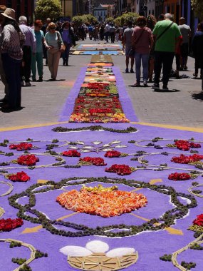 Corpus Christi, caddeleri çiçek halılarıyla kaplayarak kutlanır. Dini imgeler ve desenler, taze çiçekler ve farklı renklerde toprak tasvir edilir. 