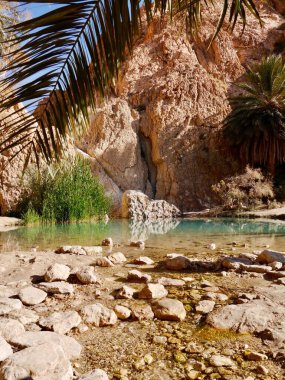 Cennet, tropik, dağ vahası, Tunus 'a yakın. Yüksek kalite fotoğraf