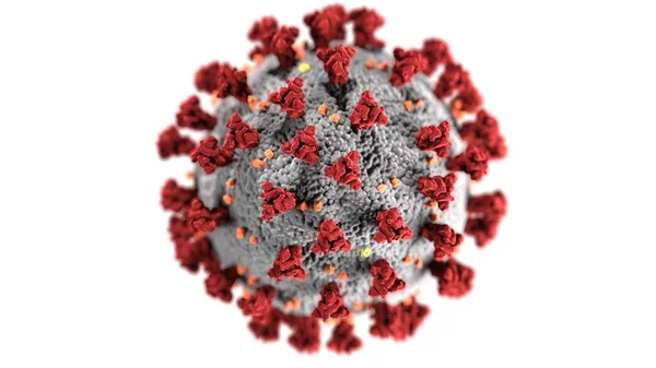 Afbeelding Van Coronavirus Kiemen Witte Achtergrond Met Voldoende Kopieerruimte Hoge Rechtenvrije Stockfoto's