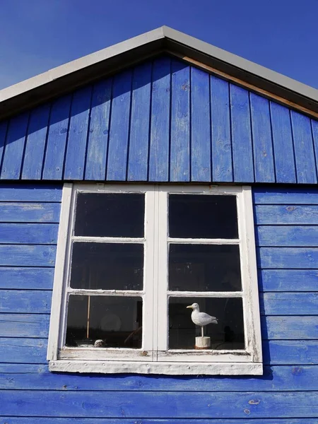 鮮やかな青色の木製のビーチ小屋の窓の閉鎖、エアロ島、デンマーク ストック写真