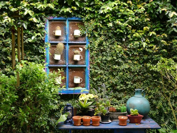 Przytulny, przytulny zakątek ogrodu z kaktusami, doniczkami i niebieskim stołem — Zdjęcie stockowe