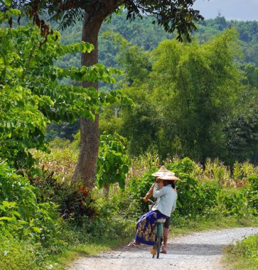 Geleneksel şapkalı iki Burmalı kız kırsalda bisiklet sürüyor, Myanmar.