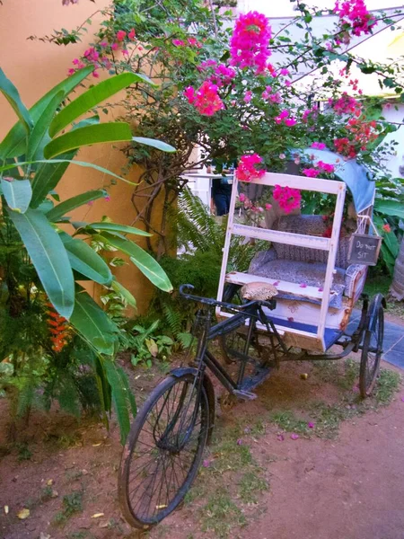 Pembe Bougainvillea Hindistan Bisiklet Triportörünü Kapatın Yüksek Kalite Fotoğraf — Stok fotoğraf