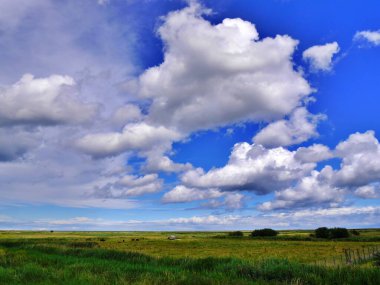 Kuzey Norfolk sahilindeki Burnham Overy Staithe 'de büyük bir gökyüzü. Büyük kopya alanı. Yüksek kalite fotoğraf