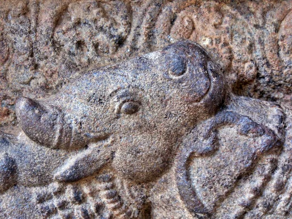 Closeup Elephant Detail Darasuram Temple Tamil Nadu Southern India High — Stock Photo, Image