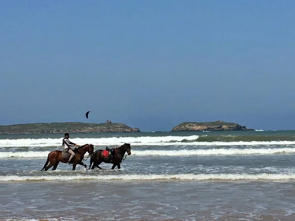Uomo a cavallo che conduce un altro lungo la riva del mare, Essaouira, Marocco — Foto Stock