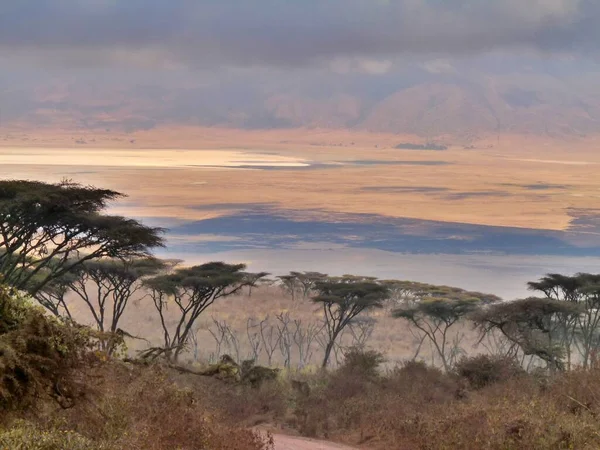Splendida Vista Sulla Gola Olduvai Tramonto Parco Nazionale Del Serengeti — Foto Stock