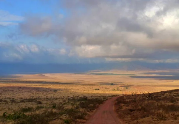 Ohromující Výhled Rozlehlou Savanskou Krajinu Serengeti Park Tanzanie Zvětšete Prostor — Stock fotografie