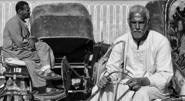 Primer Plano Blanco Negro Los Conductores Carruajes Cairo Egipto Foto — Foto de Stock
