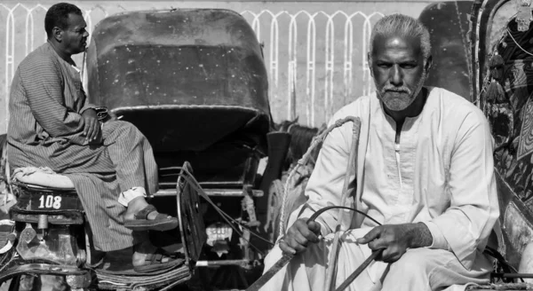 Foto Ravvicinata Bianco Nero Conducenti Carrozze Cairo Egitto Foto Alta — Foto Stock