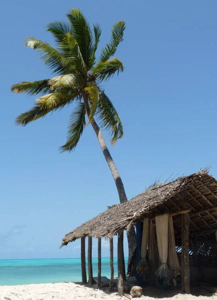 Fischernetze Trocknen Einer Hütte Strand Unter Palmen Jambiani Sansibar Reichlich — Stockfoto