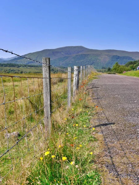 Flores e cercas muito selvagens, Highlands, Escócia — Fotografia de Stock