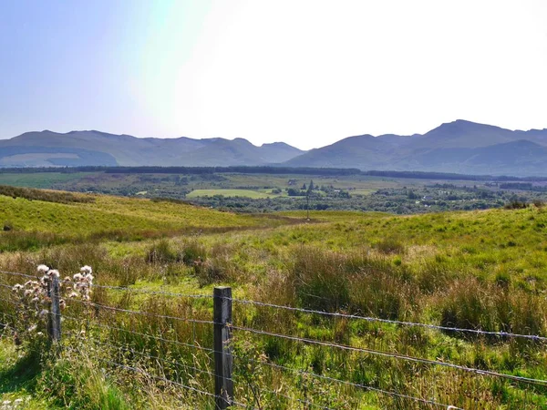 Terras altas campos com cardos em Terras Altas Escocesas — Fotografia de Stock