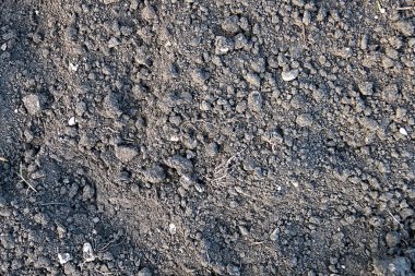 Bölünmüş ülke toprakları, kır hayatı, ekin, arka plan, doku