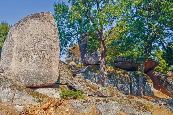 巨石 — ストック写真