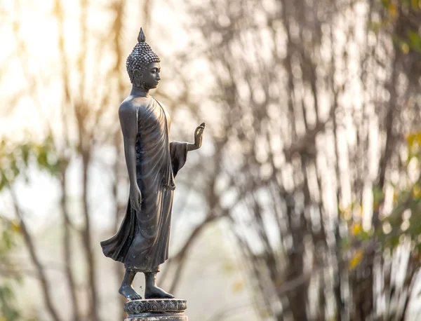 Standing Buddha statue in temple Thailand — Stock Photo, Image