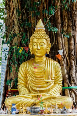 Buda resim Bodhi ağacının altında