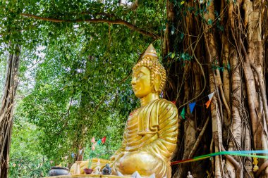 Buda resim Bodhi ağacının altında