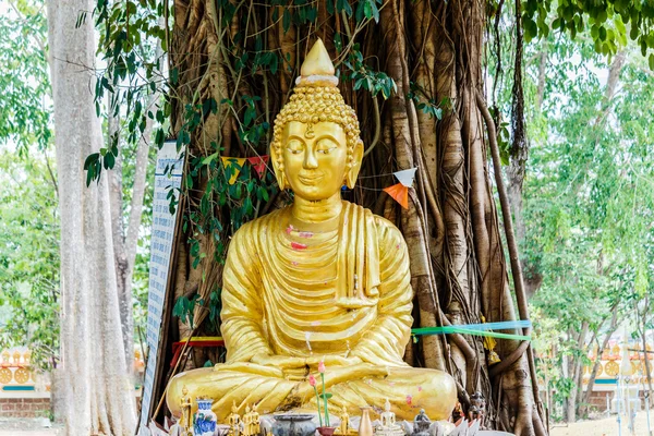 Buddha-Bild unter Bodhi-Baum — Stockfoto