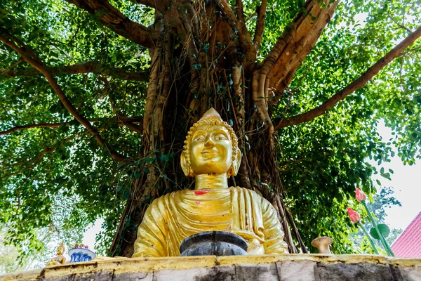 Εικόνα του Βούδα, κάτω από το δέντρο Bodhi — Φωτογραφία Αρχείου