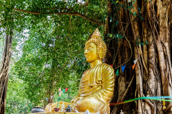 Buddha-Bild unter Bodhi-Baum — Stockfoto