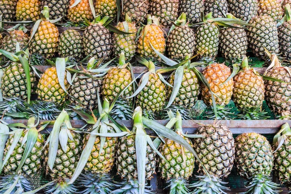 Ananas Meyve