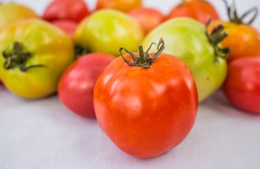 renkli domates
