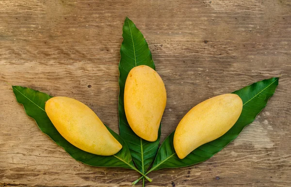 Mangos maduros — Foto de Stock