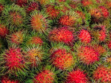 Rambutan