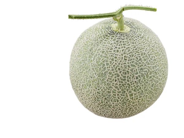 Frische Melonen — Stockfoto