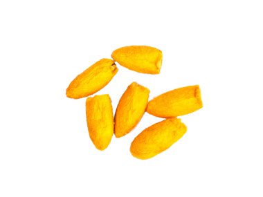 İpekböceği koza yakından ayrı tut üzerinde beyaz adam