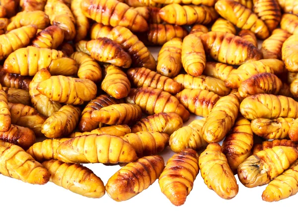 İpekböceği pupa, ipekböceği yaşam döngüsünün patates kızartması.