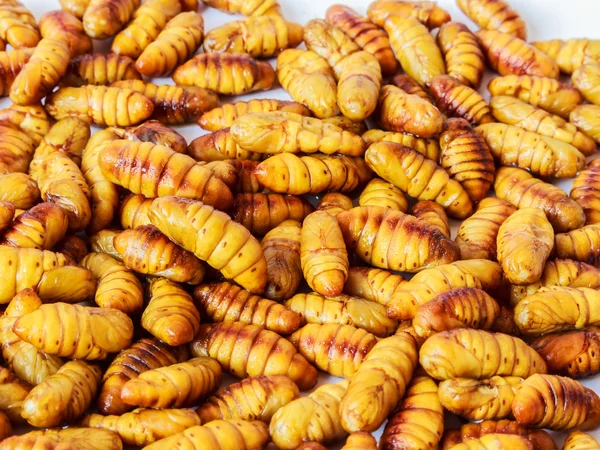 İpekböceği pupa, ipekböceği yaşam döngüsünün patates kızartması.