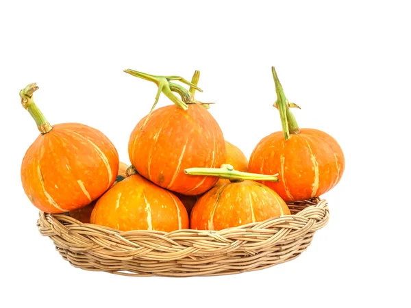 Calabazas aisladas sobre fondo blanco con recorte p — Foto de Stock