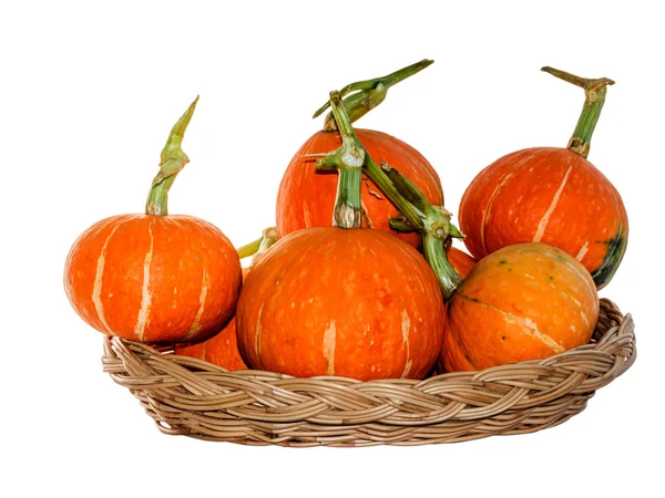 Calabazas aisladas sobre fondo blanco con recorte p — Foto de Stock