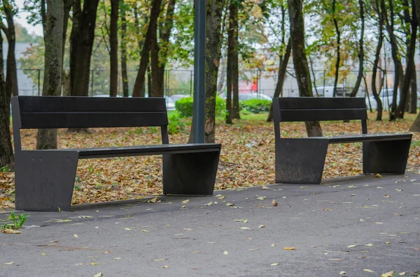 Empty Bench Park — Stock Photo, Image