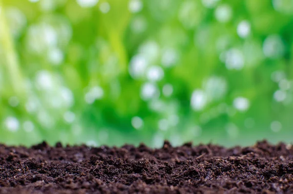 Suelo vacío listo para las plantas sobre el fondo de hojas verdes — Foto de Stock