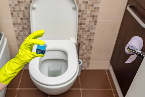 Limpiador de cubos de baño en la mano. Una mano baja un cubo desinfectante en el agua de un inodoro construido en la pared. — Foto de Stock