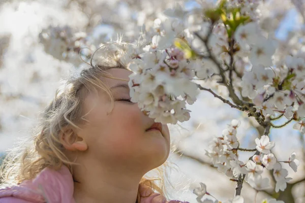 Flores de cerezo. La chica disfruta del aroma de las flores de sakura japonesas. Flor de cerezo en Japón en primavera. — Foto de Stock