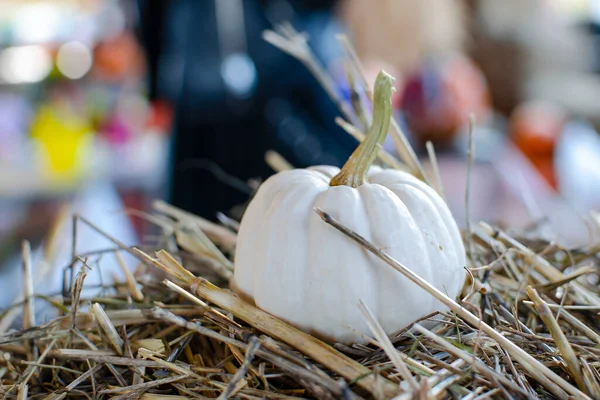 Halloweenpompoen. Witte pompoen op een achtergrond van hooi in een rustieke stijl. Achtergrond voor Halloween. Plaats voor tekst — Stockfoto