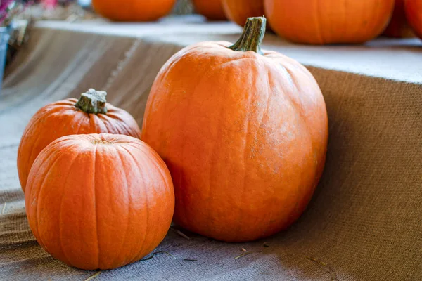 Halloweenpompoen. Pompoen op een achtergrond van hooi in een rustieke stijl. Achtergrond voor Halloween. Plaats voor tekst — Stockfoto