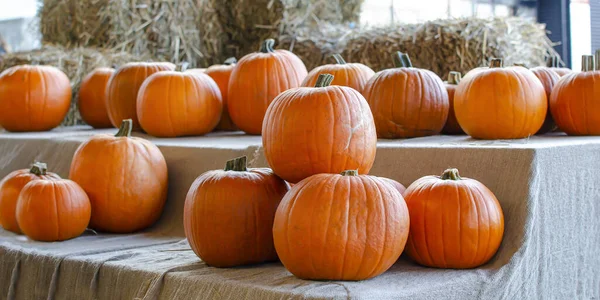 Halloweenpompoen. Pompoen op een achtergrond van hooi in een rustieke stijl. Achtergrond voor Halloween. Plaats voor tekst — Stockfoto